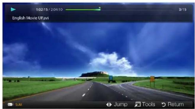 SAMSUNG UE22D5000NH - Playing Video - 1