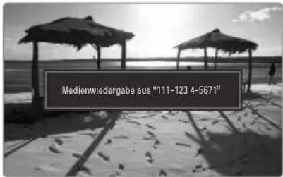 SAMSUNG UE40B8090XW - Verwenden der Medienfunktion - 1
