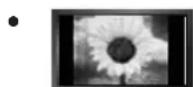 SAMSUNG UE40B8090XW - ☐ Precautions When Displaying a Still Image - 1