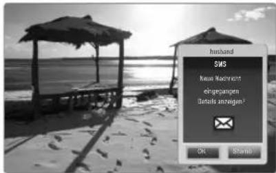 SAMSUNG UE40B7090WW - Kalenderalarm - 3