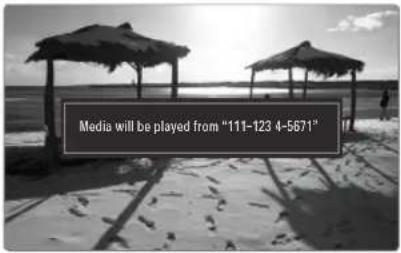 SAMSUNG UE40B7090WW - Using the Media Function - 1