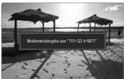 SAMSUNG UE40B7090WP - Verwenden der Medienfunktion - 1