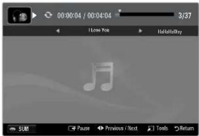 SAMSUNG UE40B7090WP - Playing the selected music files - 1