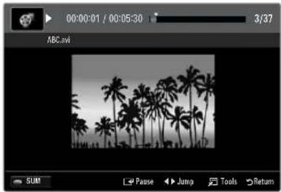 SAMSUNG UE40B7090WP - Supported Subtitle Formats - 1