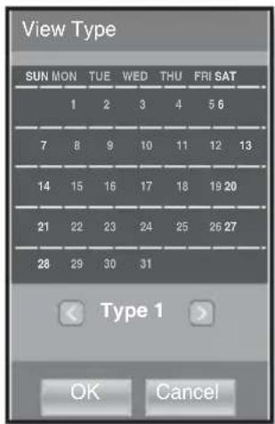 SAMSUNG YP-P2JQB - To set the type of the calendar - 1