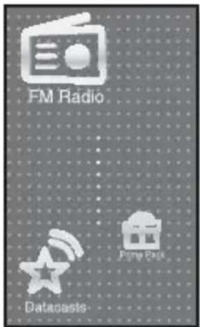 SAMSUNG YP-P2JQB - listening to FM radio - 3