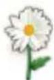 SAMSUNG YP-M1JEB - WIDGET ICONS (Continued) - 5