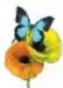 SAMSUNG YP-M1JEB - WIDGET ICONS (Continued) - 4