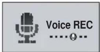 Voice REC -----