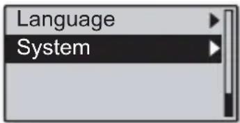 Language System