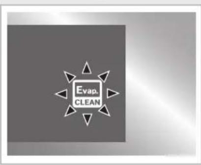 SAMSUNG AQV24VBAN - Selecting the Auto Cleaning Function - 3