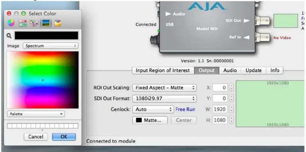 AJA ROI-DVI - Matte Background - 1