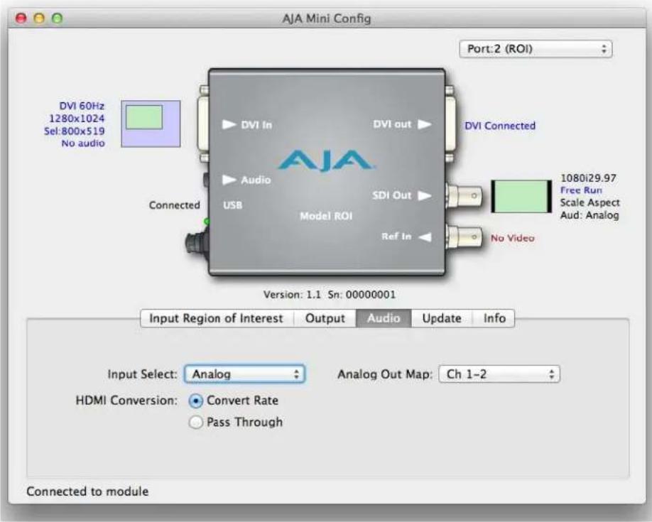 AJA ROI-DVI - Audio Tab - 1