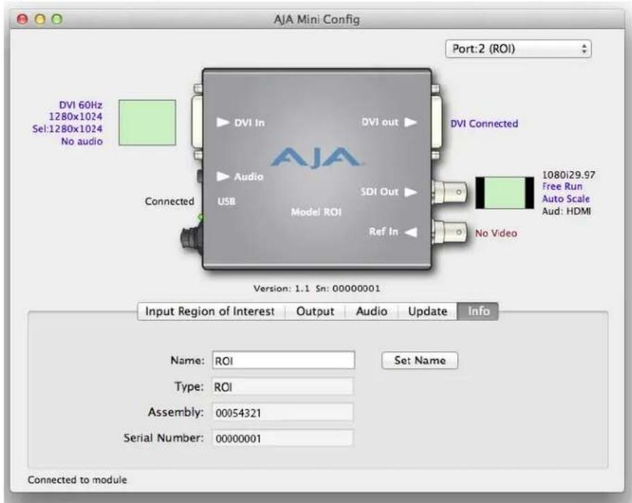 AJA ROI-DVI - Info Tab Screen - 1