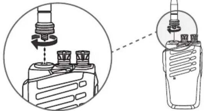 Steren RAD-010 - ANTENNA - 1