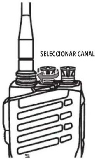 SELECCIONAR CANAL