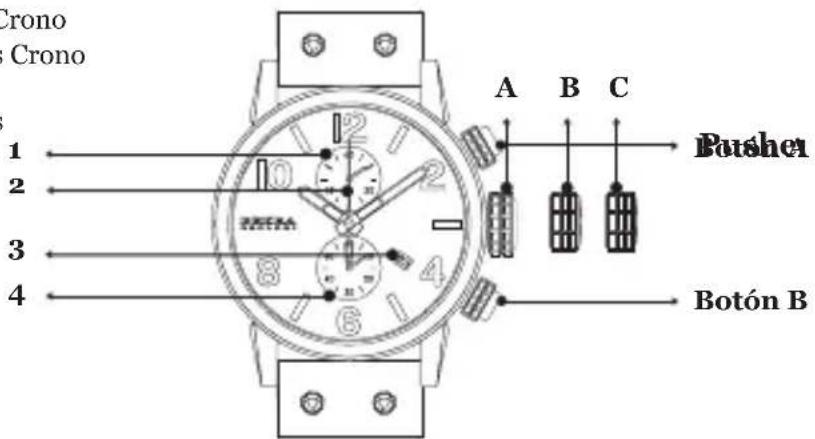 Brera Frederica - ISABELLA CHRONO - 1