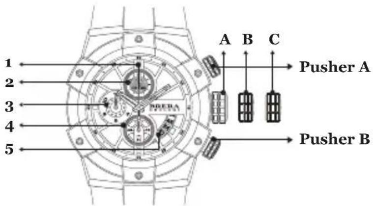 Brera Frederica - FEDERICA CHRONO - 1