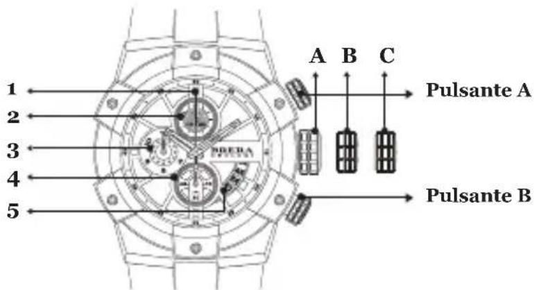 Brera Frederica - FEDERICA CHRONO - 1