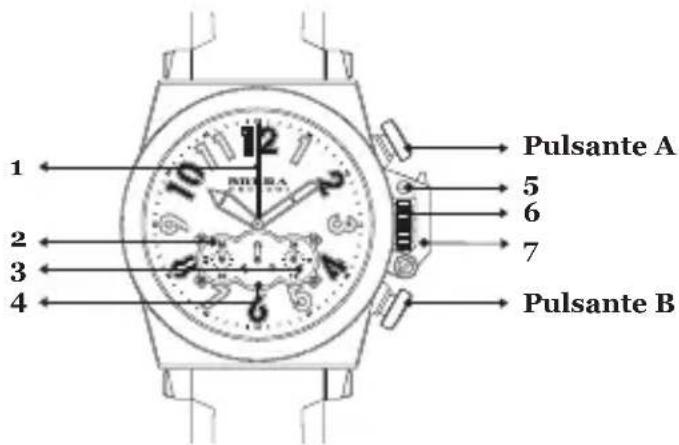 Brera Frederica - CHRONO - 1