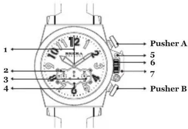 Brera Frederica - CHRONO - 1