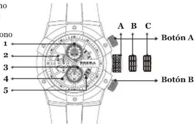 Brera Frederica - SUPERSPORTIVO CHRONO - 1