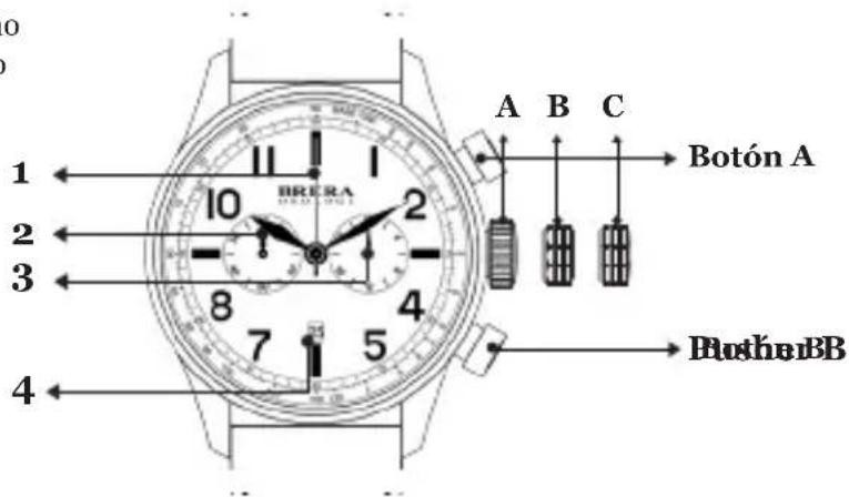 Brera Frederica - CLASSICO CHRONO - 1