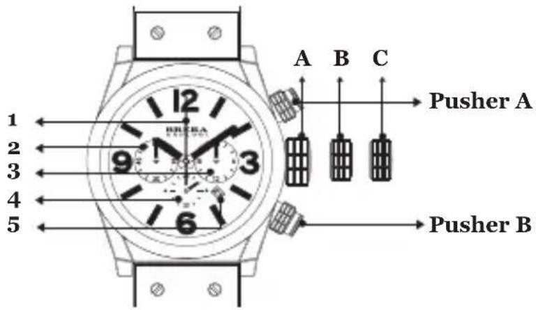 Brera Frederica - CHRONO - 1