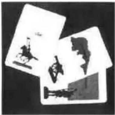 PARKER Risiko - c) Einsatz der Länderkarten - 1
