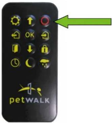 Petwalk 3.0 - ERSTE INBETRIEBNAHME - 1