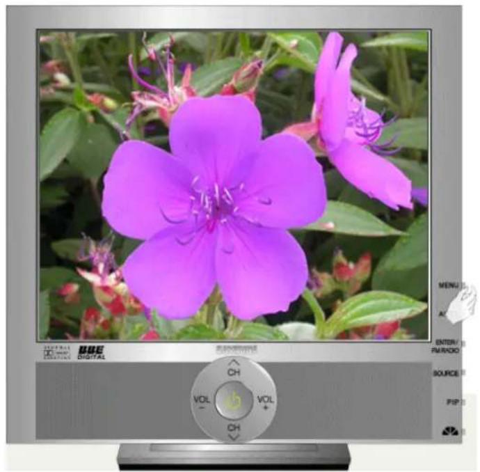 SAMSUNG 931MP - How to delete the Natural Color software program - 2