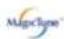 SAMSUNG 931BF - Basic Functionality - 1