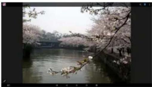 Scenic view of cherry blossom branches over a calm river with a traditional bridge in the background (no text or symbols visible)