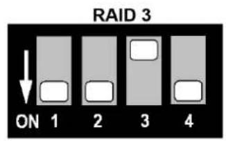 RAID 3 ON 1 2 3 4