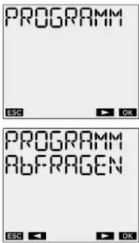 Kopp ZWD-IR-002.2 - Programmanzeige - 1