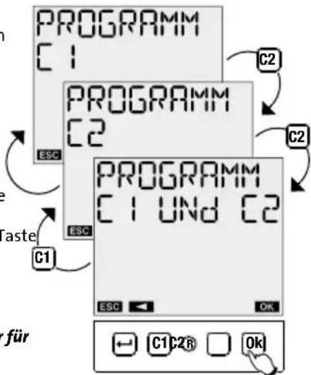 Kopp ZWD-IR-002.2 - IMPULS Programm - 2