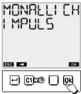 Kopp ZJD-IR-001.1 - IMPULS Programm - 4
