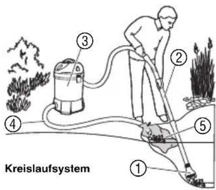 Kreislaufsystem