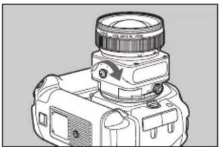 CANON TS-E 45MM F/2.8 - Using Tilt - 3