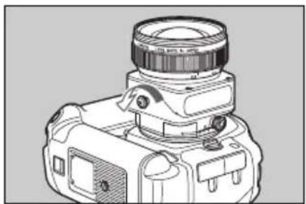 CANON TS-E 45MM F/2.8 - Using Tilt - 1