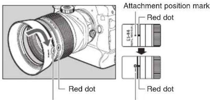CANON TS-E 135MM F2.8L Macro - Hood - 1