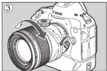 CANON TS-E 135MM F2.8L Macro - Using Shift - 3