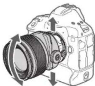 CANON TS-E 135MM F2.8L Macro - Using TS Rotation - 4