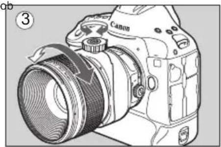 CANON TS-E 135MM F2.8L Macro - Using Tilt (TS-E90mm f/2.8L MACRO, TS-E135mm f/4L MACRO) - 3