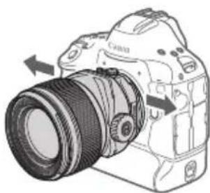 CANON TS-E 135MM F2.8L Macro - Using Rotation - 4