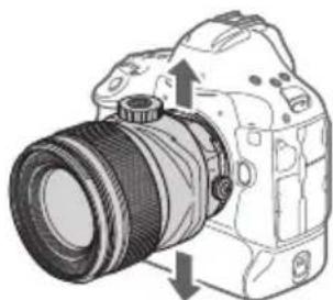 CANON TS-E 135MM F2.8L Macro - Using Rotation - 3