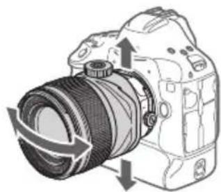 CANON TS-E 135MM F2.8L Macro - Using TS Rotation - 3