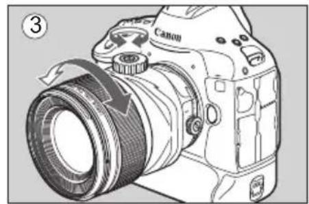 CANON TS-E 135MM F2.8L Macro - Using Tilt (TS-E50mm f/2.8L MACRO) - 3