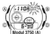 CASIO 4314 - Digitalzeit-Sommerzeiteinstellung (DST) - 1