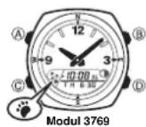 CASIO 3769 - Wichtigt! - 2